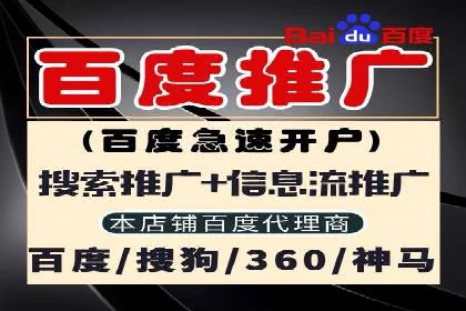 行业首例：SEM竞价优化案例的成效与启示